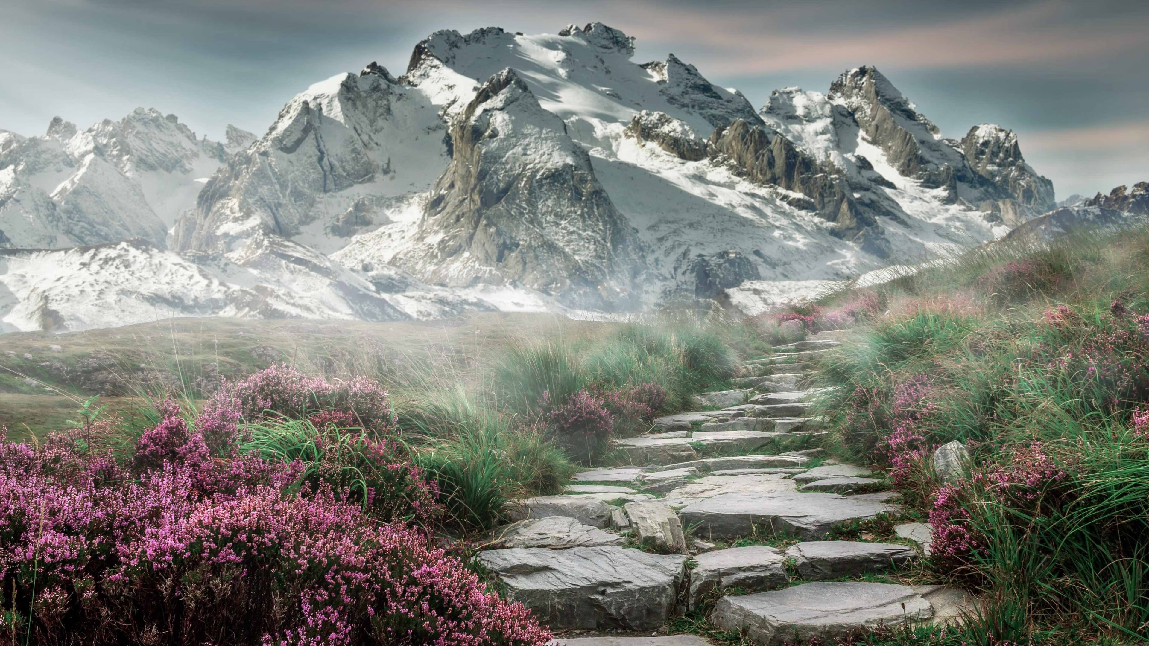 体育娱乐平台-跨越新纪元，v7.2.5 版本正式发布，开启2026年智能新篇章